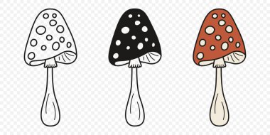 Düz Vektör El Çizim Çizim Karikatürü Uçan Agarik Mantarlar Çizim Çizimi. Amanita Muscaria, Fly Agaric Illustration, Mantarlar. Sihirli Mantar Simgeleri, Tasarım Şablonu.