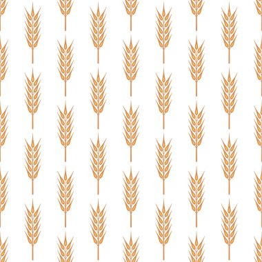 Tarımsal Buğday ve Gevrek Kulaklı Vektör Kusursuz Desen. Organik Buğday, Pirinç Kulak Tasarım Şablonu. Ekmek, Bira Paketi, Çiftlik, Organik Gıda Konsepti.