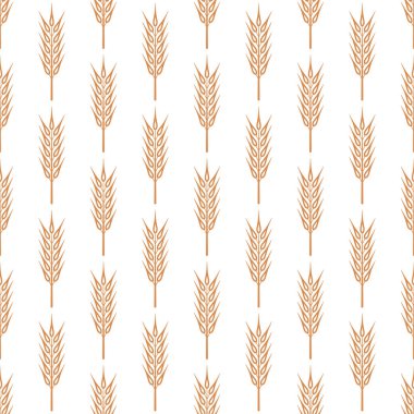 Tarımsal Buğday ve Gevrek Kulaklı Vektör Kusursuz Desen. Organik Buğday, Pirinç Kulak Tasarım Şablonu. Ekmek, Bira Paketi, Çiftlik, Organik Gıda Konsepti.
