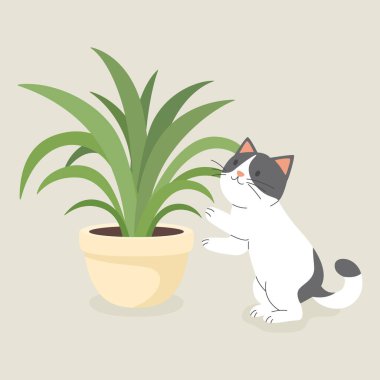 Şirin Çizgi film Düz Vektör Kedisi Saksı Dracaena Bitkisi Arıyor. Bitki severler için Vektör İllüstrasyonu. Sevimli Kedi Yavrusu Ev Hayatı Tasarım Şablonu.