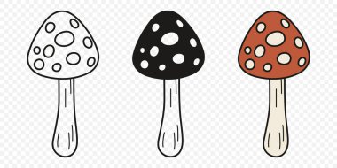 Düz Vektör El Çizim Çizim Karikatürü Uçan Agarik Mantarlar Çizim Çizimi. Amanita Muscaria, Fly Agaric Illustration, Mantarlar. Sihirli Mantar Simgeleri, Tasarım Şablonu.