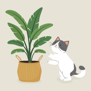 Şirin çizgi film düz vektör kedisi saksıya uzanıyor, muz palmiyesi bitkisi. Bitki severler için Vektör İllüstrasyonu. Sevimli Kedi Yavrusu Ev Hayatı Tasarım Şablonu.