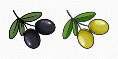 Düz Vektör Yeşil ve Siyah Zeytin Dış Hattı. El yapımı zeytin ağacı meyvesi Clipart. Zeytinyağı Ürünleri, Paketleme, Gıda Tasarım Şablonu.
