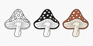 Düz Vektör El Çizim Çizim Karikatürü Uçan Agarik Mantarlar Çizim Çizimi. Amanita Muscaria, Fly Agaric Illustration, Mantarlar. Sihirli Mantar Simgeleri, Tasarım Şablonu.