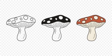 Düz Vektör El Çizim Çizim Karikatürü Uçan Agarik Mantarlar Çizim Çizimi. Amanita Muscaria, Fly Agaric Illustration, Mantarlar. Sihirli Mantar Simgeleri, Tasarım Şablonu.