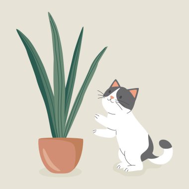 Şirin Çizgi Film Düz Vektör Kedisi Saksı Bitkisi Arıyor. Bitki severler için Vektör İllüstrasyonu. Sevimli Kedi Yavrusu Ev Hayatı Tasarım Şablonu.