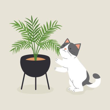 Şirin Çizgi Film Düz Vektör Kedisi Saksı Bitkisi Arıyor. Bitki severler için Vektör İllüstrasyonu. Sevimli Kedi Yavrusu Ev Hayatı Tasarım Şablonu.
