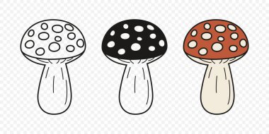 Düz Vektör El Çizim Çizim Karikatürü Uçan Agarik Mantarlar Çizim Çizimi. Amanita Muscaria, Fly Agaric Illustration, Mantarlar. Sihirli Mantar Simgeleri, Tasarım Şablonu.
