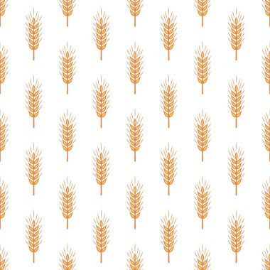 Tarımsal Buğday ve Gevrek Kulaklı Vektör Kusursuz Desen. Organik Buğday, Pirinç Kulak Tasarım Şablonu. Ekmek, Bira Paketi, Çiftlik, Organik Gıda Konsepti.