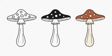 Düz Vektör El Çizim Çizim Karikatürü Uçan Agarik Mantarlar Çizim Çizimi. Amanita Muscaria, Fly Agaric Illustration, Mantarlar. Sihirli Mantar Simgeleri, Tasarım Şablonu.