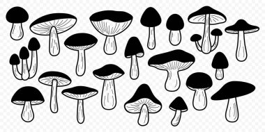 Vahşi Siyah ve Beyaz Çizgili Sanat Mantar Vektörü seti. Düzel Orman Mantar Koleksiyonu. Porcini, Bay Bolete, Birch Bolete, Kral Mantar Simgesi Set. Aşçılık, Mitoloji, Botanik İllüstrasyon.