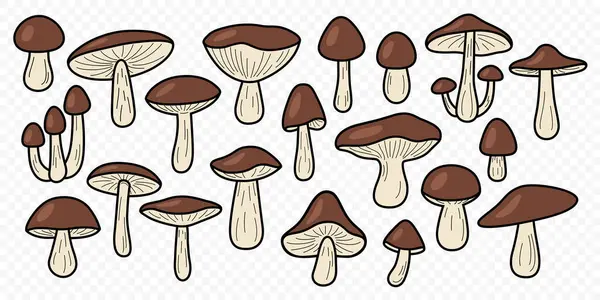 Vahşi Kahverengi Şapka Mantar Vektörü ayarlandı. Düz Renkli El Orman Mantar Koleksiyonu. Porcini, Bay Bolete, Birch Bolete, Kral Mantar Simgesi Set. Yiyecek arama, Yemek pişirme, Mitoloji, Botanik Çizim.