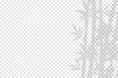 Bambu Gölge Kaplama Vektörü. Gerçekçi Bambu Gölgesi Örtüsü Efekti. Doğa, Zen, Spa, Botanik, Poster, Web, Mockup, Minimum Tasarım için Zarif Bambu Gölgesi Örtüsü Vektör İlülasyonu.