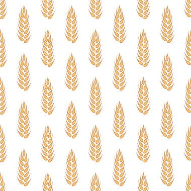 Tarımsal Buğday ve Gevrek Kulaklı Vektör Kusursuz Desen. Organik Buğday, Pirinç Kulak Tasarım Şablonu. Ekmek, Bira Paketi, Çiftlik, Organik Gıda Konsepti.