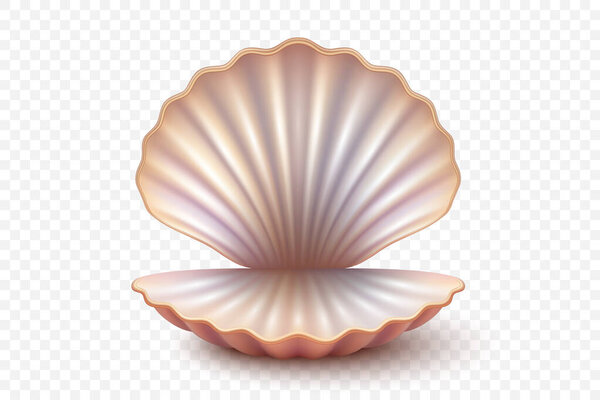 Vector 3d Refleic Open Seashell with Pearlescent Shine. Изолированный Seashell для пляжного декора, летнего дизайна, морского Брендинга. Клипарт для океана или ювелирных украшений.