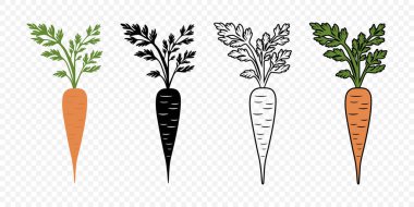 Taslak, Düz, Siyah ve Beyaz Havuç Simgeli Havuç Vektörü Seti. Organik Gıda Tasarımı, Bahçe Tırmanışı, Sebze Logosu, Çiftlik Marketi Etiketi ve Sağlıklı Yemek Kavramları İçin Havuç Resimleri.