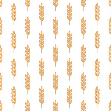 Tarımsal Buğday ve Gevrek Kulaklı Vektör Kusursuz Desen. Organik Buğday, Pirinç Kulak Tasarım Şablonu. Ekmek, Bira Paketi, Çiftlik, Organik Gıda Konsepti.