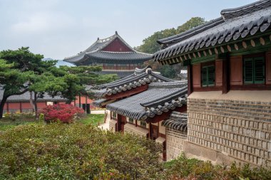Changdeokgung, 23 Ekim 2021 'de Seul Güney Kore' de sonbaharda Joseon hanedanlığının kraliyet sarayı.