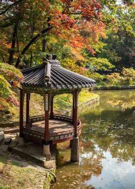 Changdeokgung, 23 Ekim 2021 'de Seul Güney Kore' de sonbaharda Joseon hanedanlığının kraliyet sarayı.
