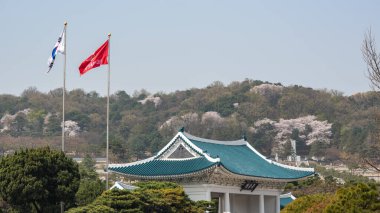 1 Nisan 2023 'te Güney Kore' deki Seul Ulusal Kore gaziler mezarlığı.