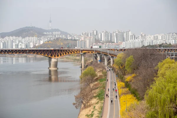 Seúl Corea Del Sur Paisaje Urbano Durante Contaminación Por Polvo — Foto de Stock