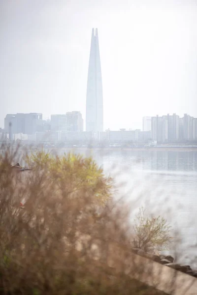 Seúl Corea Del Sur Paisaje Urbano Durante Contaminación Por Polvo — Foto de Stock