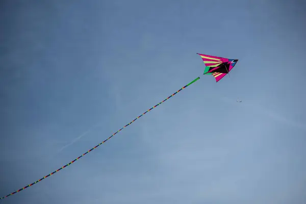 Cerf Volant Soie Asiatique Coloré Volant Contre Ciel Bleu — Photo