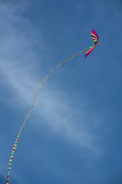 Colorido Asiático Cometa Seda Volando Contra Cielo Azul — Foto de Stock