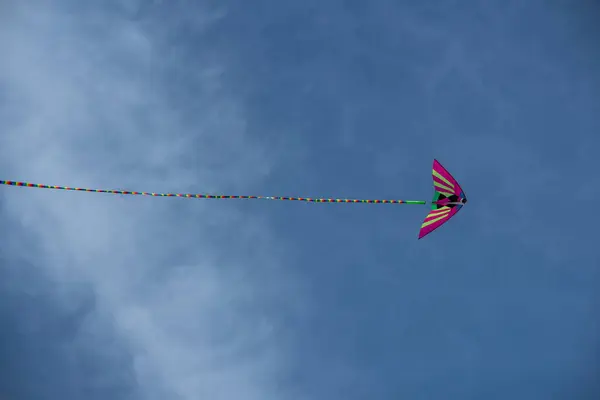 青空に向かって飛ぶカラフルなアジアのシルクカイト — ストック写真