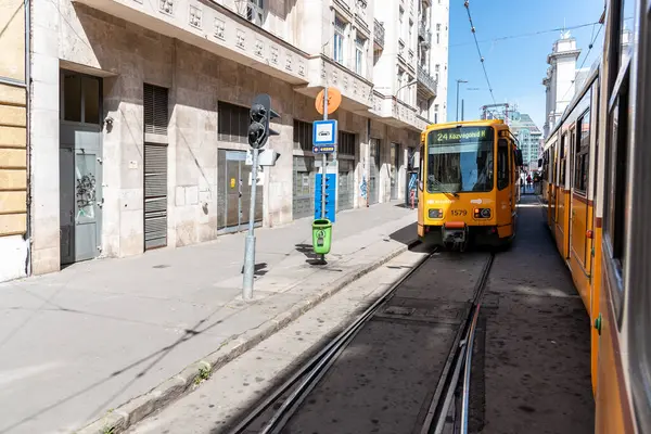 Gelbe Straßenbahn Budapest Ungarn Mai 2023 — Stockfoto