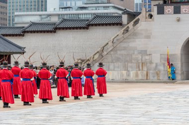 Kore kraliyet muhafızlarının 4 Kasım 2023 'te Güney Kore' nin başkenti Seul 'deki Gyeongbokgung Sarayı' nda tarihi Joseon kostümleriyle yeniden canlandırılması.