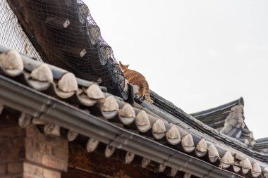 Bukchon Hanok Köyü eski geleneksel Kore mimari bölgesi ve Güney Kore 'nin başkenti Seul' deki ünlü turizm merkezi.