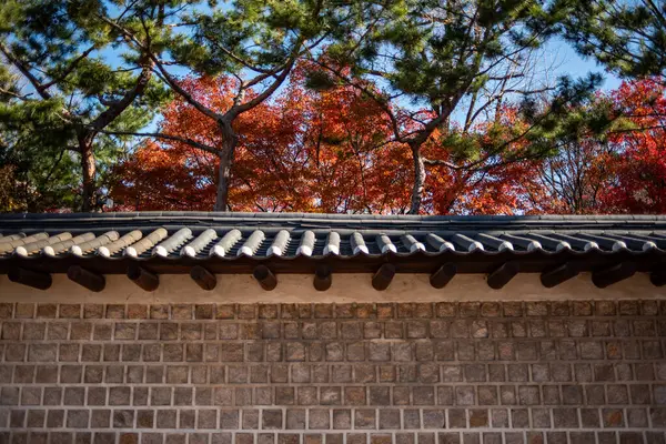 Seul Güney Kore 'de, Joseon hanedanlığının Deoksugung Kore kraliyet sarayının dış duvarı.