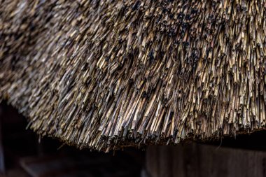Japonya 'nın Kyoto ilindeki Miyama köyünün geleneksel sazdan çatı evleri, 17 Şubat 2024 tarihinde UNESCO' nun soyut kültürel mirası olan kayabuki çim çatı tekniği kullanılarak yapılmıştır.