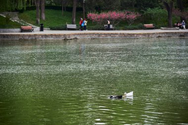 Çin 'in başkenti Pekin' in Chaoyang semtinde 19 Nisan 2024 'te Tuanjiehu halk parkının manzarası