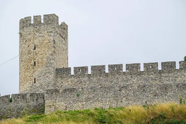 stock image Remains of Historic Belgrade Fortress in Kalemegdan park in Belgrade, capital of Serbia