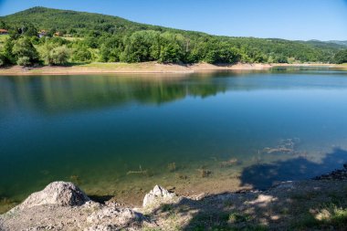 Bor Gölü (Borsko jezero), Sırbistan 'ın doğusunda Bor kenti yakınlarındaki yapay bir göl.