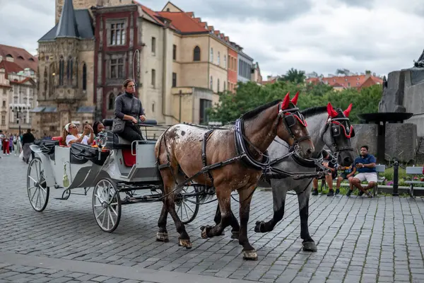 stock image Horse drawn carriage, popular form of sightseeing for tourists visiting Prague, capital of Czech Republic on 4 July 2024