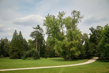 Stromovka Royal Game Reserve, Çek Cumhuriyeti 'nin başkenti Prag' ın Bubenec ilçesinde büyük bir park.
