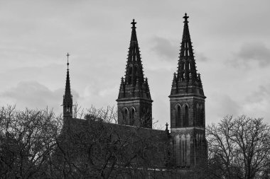 St. Peter ve St. Paul Bazilikası, Çek Cumhuriyeti 'nin başkenti Prag' daki Vysehrad kalesindeki neo-gotik kilise.