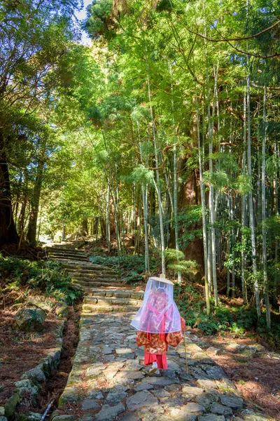 Japon kadın, 16 Şubat 2024 tarihinde Wakayama bölgesindeki UNESCO Dünya Mirası sahasında Kumano Kodo hac güzergahında geleneksel Heian Period kostümü giyiyor.