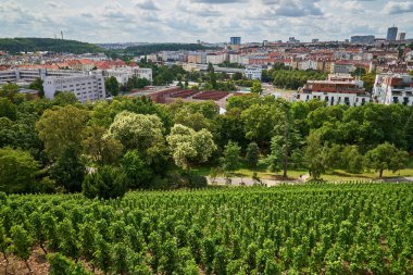 Vineyard Gazebo in Grebovka Havlickovy sady gardens in Vinohrady district in Prague, capital of Czech Republic clipart