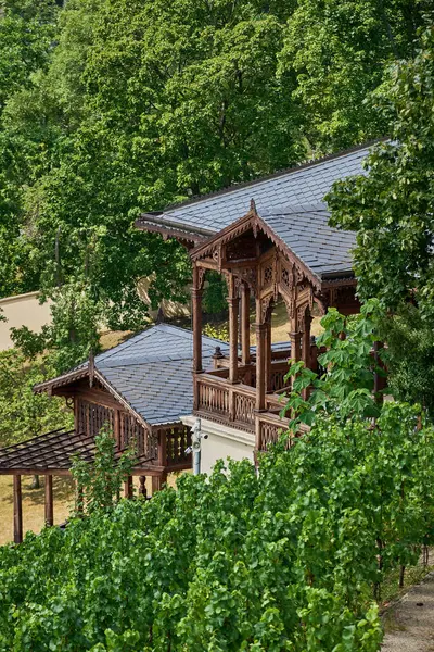 stock image Vineyard Gazebo in Grebovka Havlickovy sady gardens in Vinohrady district in Prague, capital of Czech Republic