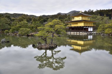 Kinkakuji temple Golden Pavillion, Zen Buddhist temple in Kyoto, Japan, UNESCO world heritage site on 17 February 2024 clipart