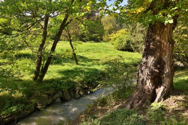 Pruhonice Park ve Şato kompleksi, Ulusal Kültür Anıtı ve Çek Cumhuriyeti 'nin Prag kentindeki en güzel parklardan biri olan UNESCO Dünya Mirası sahası 22 Eylül 2024' te kuruldu.