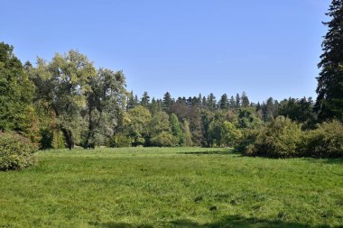 Pruhonice Park ve Şato kompleksi, Ulusal Kültür Anıtı ve Çek Cumhuriyeti 'nin Prag kentindeki en güzel parklardan biri olan UNESCO Dünya Mirası sahası 22 Eylül 2024' te kuruldu.