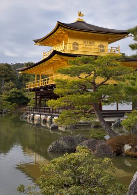 Kinkakuji Tapınağı Altın Pavilyon, Japonya, Kyoto 'daki Zen Budist Tapınağı, UNESCO dünya mirası sahası 17 Şubat 2024