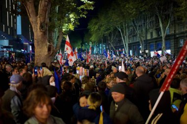 20 Ekim 2024 'te Gürcistan' ın başkenti Tiflis 'teki Liberty Square' de Avrupa Birliği entegrasyonu ve üyeliğini destekleyen gösteriler için yürüyüş