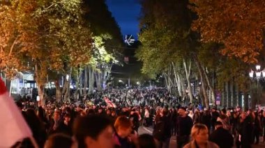 20 Ekim 2024 'te Gürcistan' ın başkenti Tiflis 'teki Liberty Square' de Avrupa Birliği entegrasyonu ve üyeliğini destekleyen gösteriler için yürüyüş
