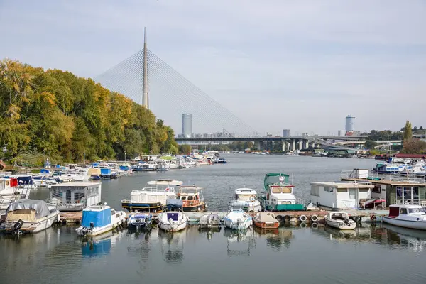 24 Ekim 2024 'te Sırbistan' ın başkenti Belgrad 'daki Sava nehri üzerinde kablo destekli bir köprü olan Ada Köprüsü ile Ada Ciganlija' da tekne marinası